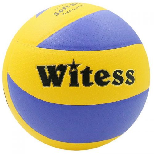 Ballon de volley - Ref 2015125