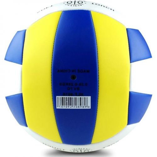 Ballon de volley - Ref 2015212