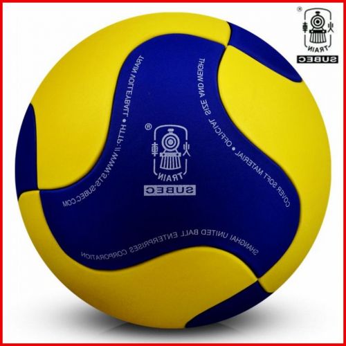 Ballon de volley TRAIN - Ref 2015214