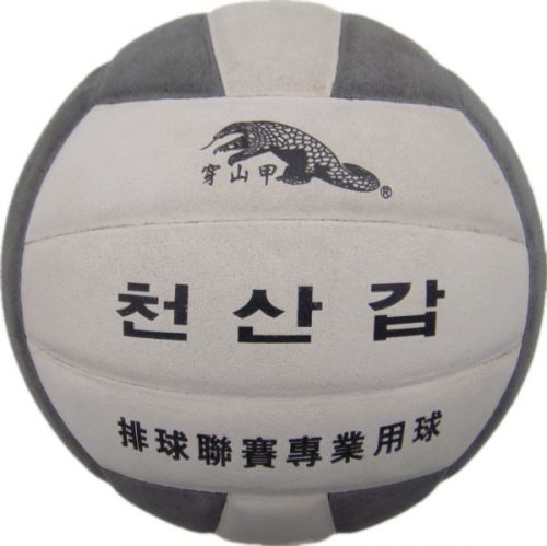 Ballon de volley - Ref 2015225