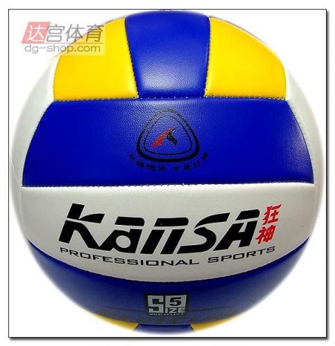 Ballon de volley - Ref 2015234