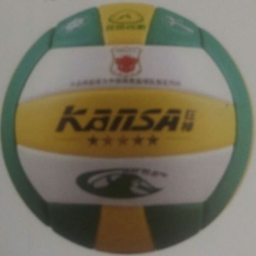 Ballon de volley - Ref 2015239