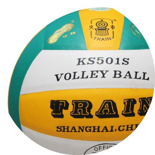 Ballon de volley TRAIN - Ref 2015261