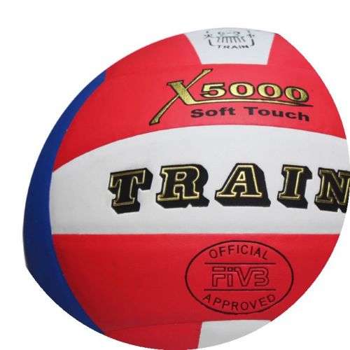 Ballon de volley TRAIN - Ref 2015262