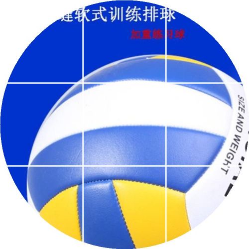 Ballon de volley - Ref 2015286
