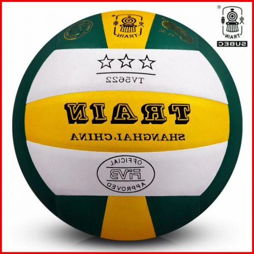 Ballon de volley TRAIN - Ref 2015312