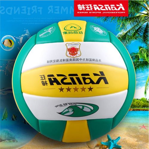 Ballon de volley - Ref 2015315