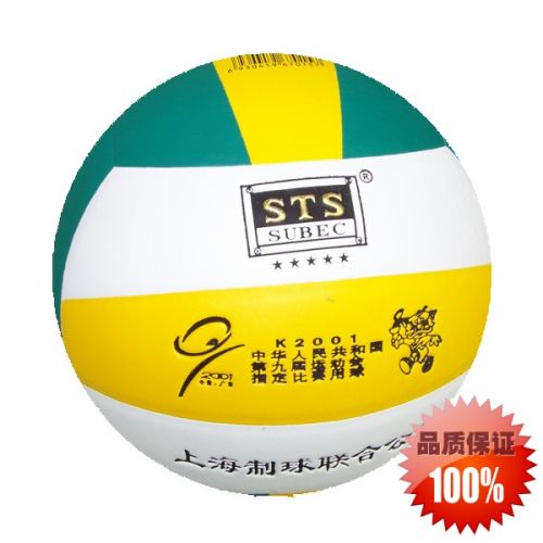 Ballon de volley - Ref 2015324