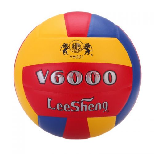 Ballon de volley - Ref 2015348