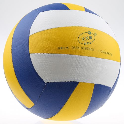 Ballon de volley - Ref 2015452