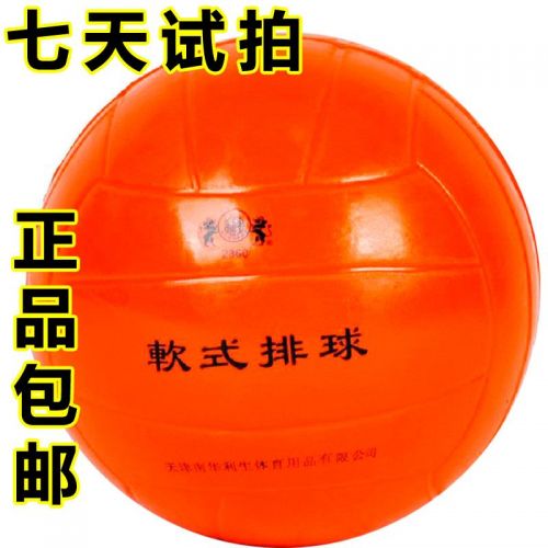 Ballon de volley LEESHENG - Ref 2015554