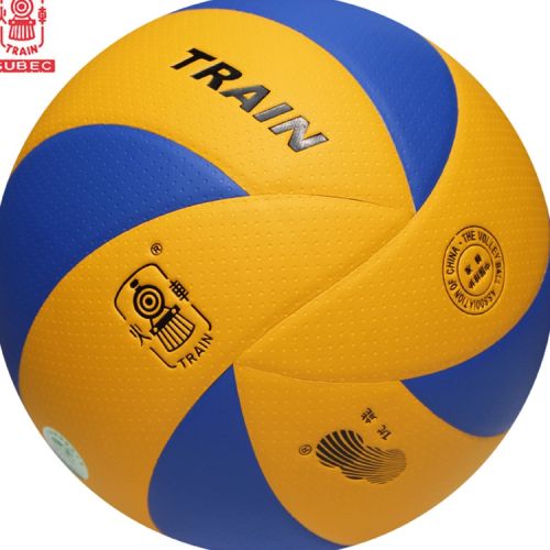 Ballon de volley TRAIN - Ref 2015559