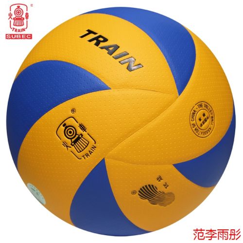 Ballon de volley TRAIN - Ref 2015700