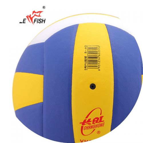 Ballon de volley DOUBLE FISH - Ref 2015786