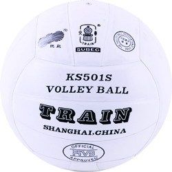 Ballon de volley TRAIN - Ref 2015790