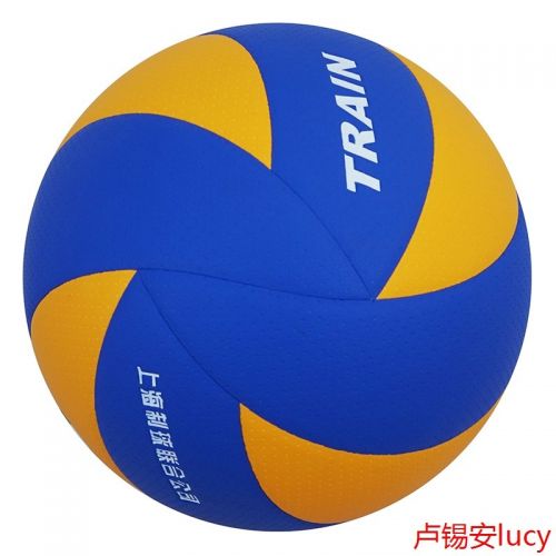 Ballon de volley TRAIN - Ref 2015800