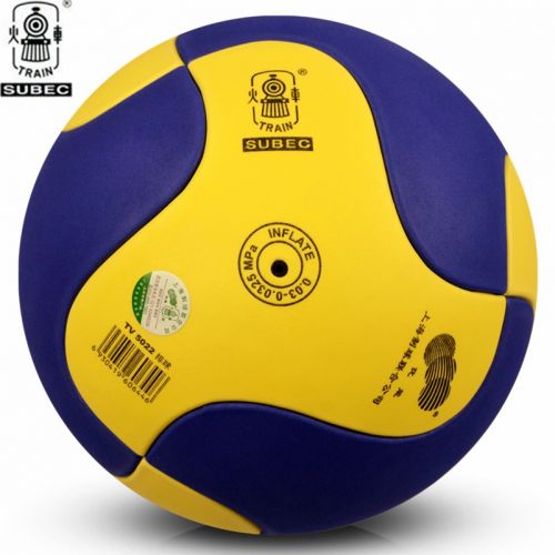 Ballon de volley TRAIN - Ref 2015804