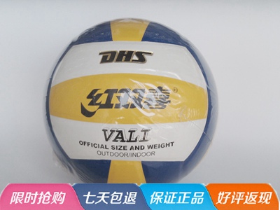 Ballon de volley - Ref 2015805