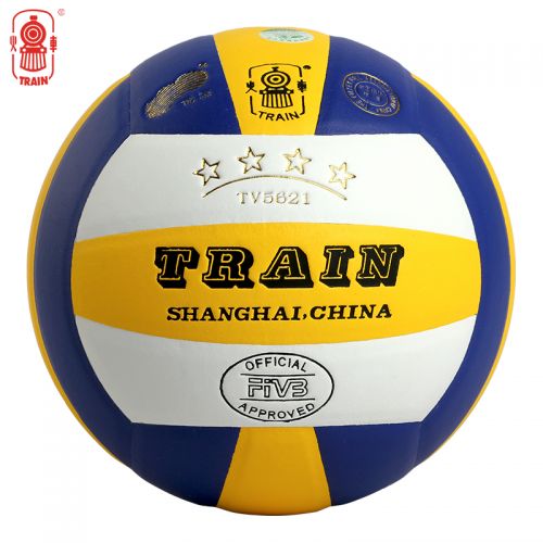 Ballon de volley - Ref 2015940