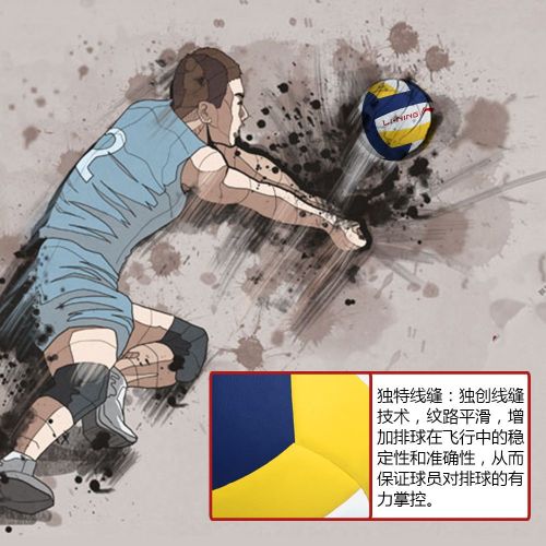 Ballon de volley LINING - Ref 2015968