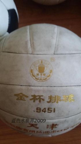 Ballon de volley - Ref 2015972