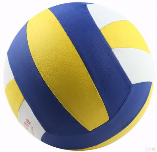 Ballon de volley - Ref 2016050