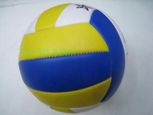 Ballon de volley - Ref 2016111