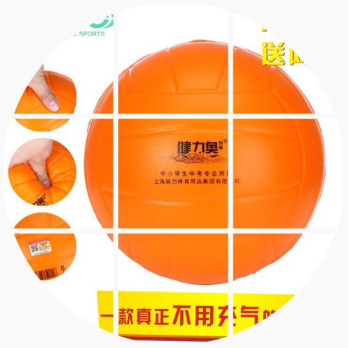 Ballon de volley - Ref 2016121
