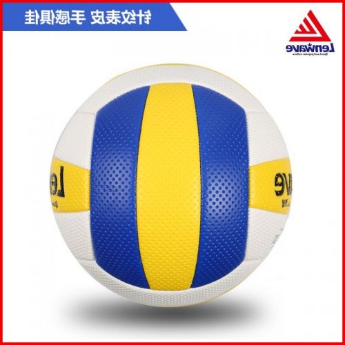 Ballon de volley - Ref 2016135