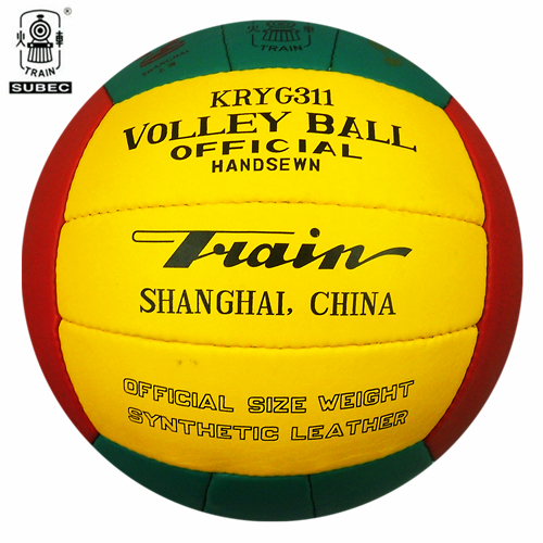 Ballon de volley TRAIN - Ref 2016136