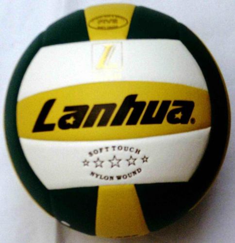 Ballon de volley - Ref 2016150
