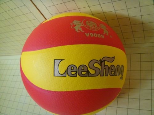 Ballon de volley LEESHENG - Ref 2016159