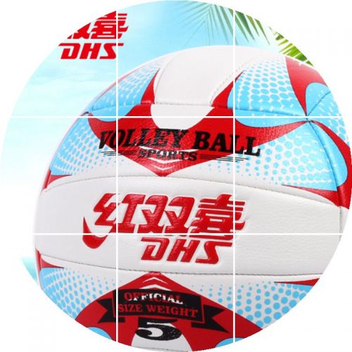 Ballon de volley - Ref 2016174