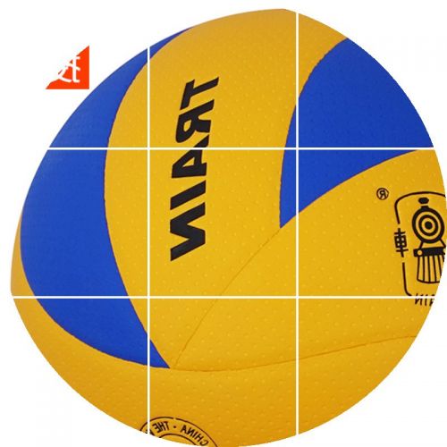 Ballon de volley TRAIN - Ref 2016180