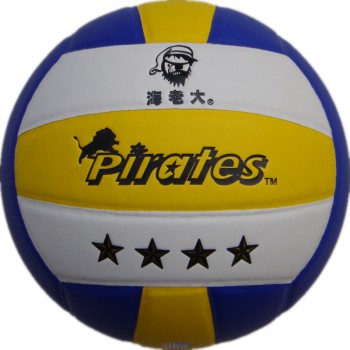 Ballon de volley - Ref 2016188