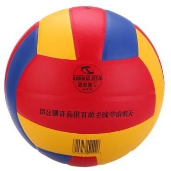 Ballon de volley - Ref 2016196