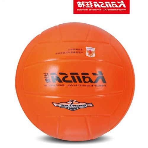 Ballon de volley - Ref 2016219