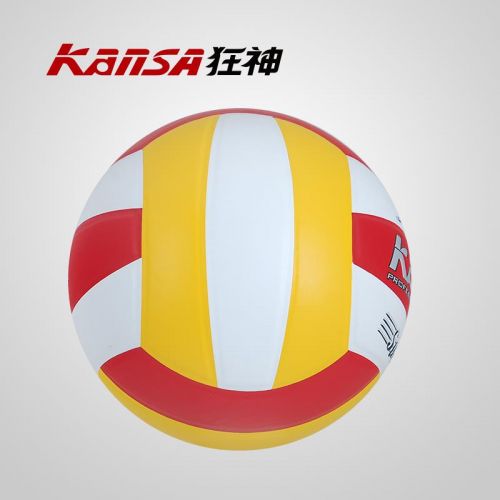 Ballon de volley - Ref 2016235