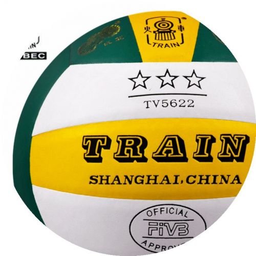 Ballon de volley TRAIN - Ref 2016245