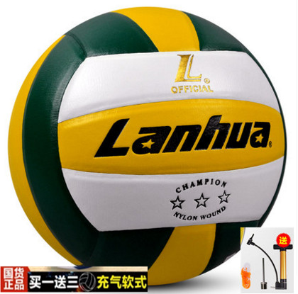Ballon de volley - Ref 2016277