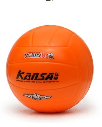 Ballon de volley - Ref 2016316