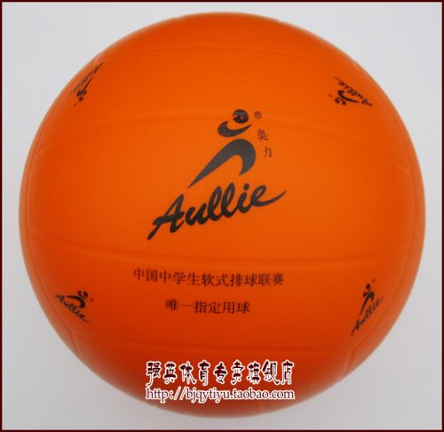 Ballon de volley - Ref 2016322