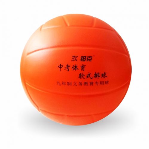 Ballon de volley - Ref 2016334
