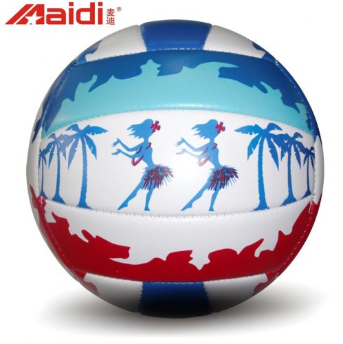 Ballon de volley - Ref 2016335