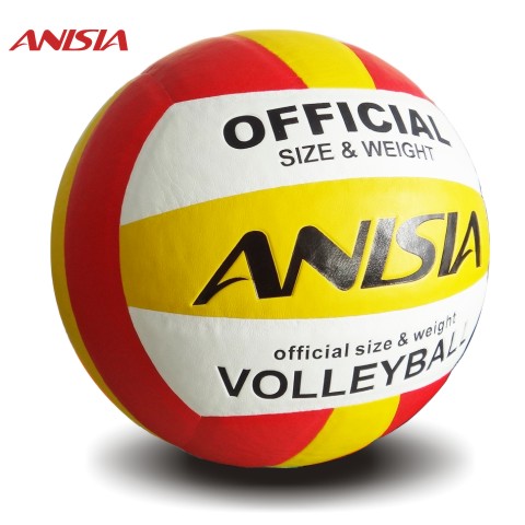 Ballon de volley ANISIA - Ref 2016336