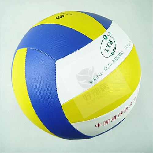Ballon de volley - Ref 2016344