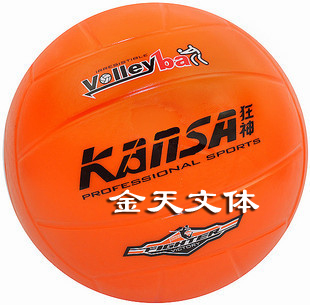 Ballon de volley - Ref 2016369