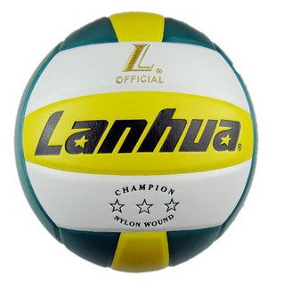Ballon de volley - Ref 2016385