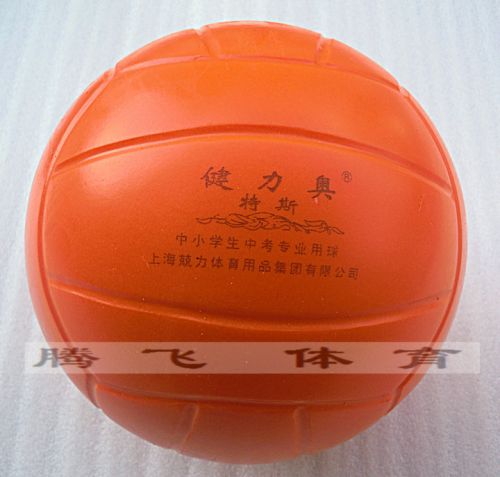 Ballon de volley - Ref 2016386