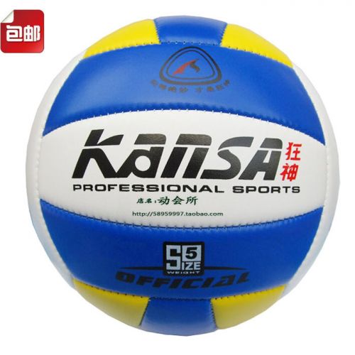 Ballon de volley - Ref 2016401